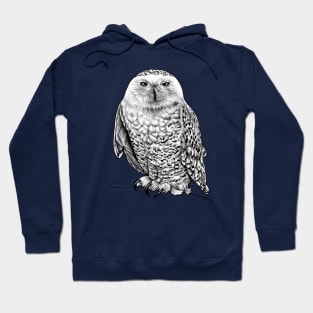 Snowy owl illustration Hoodie